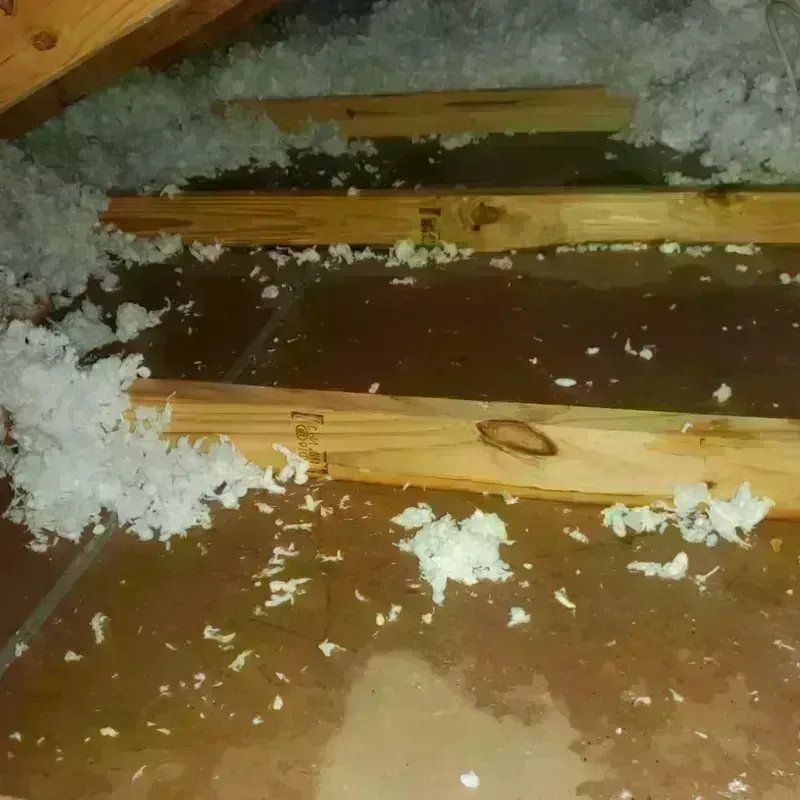 Attic Water Damage in McIntosh, SD