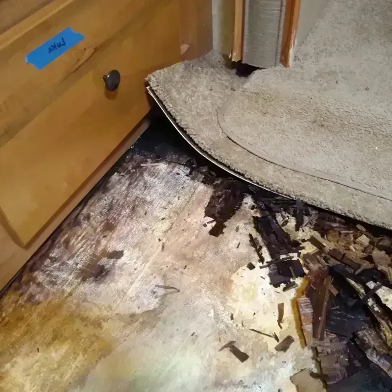 Wood Floor Water Damage in McIntosh, SD